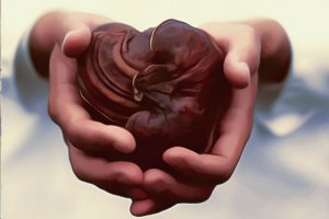 فواید قارچ گانودرما و درمان اختلالات کلیوی قارچ گانودرما