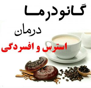 فواید قارچ گانودرما برای درمان افسردگی فواید قارچ گانودرما