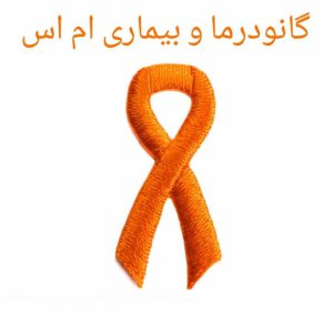 فواید قارچ گانودرما برای درمان بیماری ام اس فواید قارچ گانودرما برای درمان بیماری ام اس