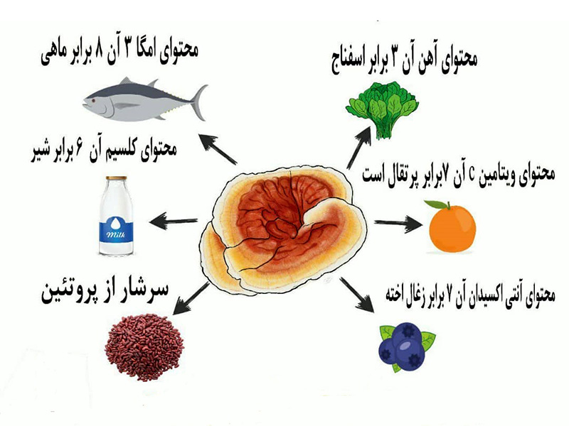 فوائد قارچ گانودرما در درمان افسردگی