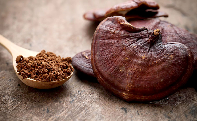 قارچ گانودرما و شادابی