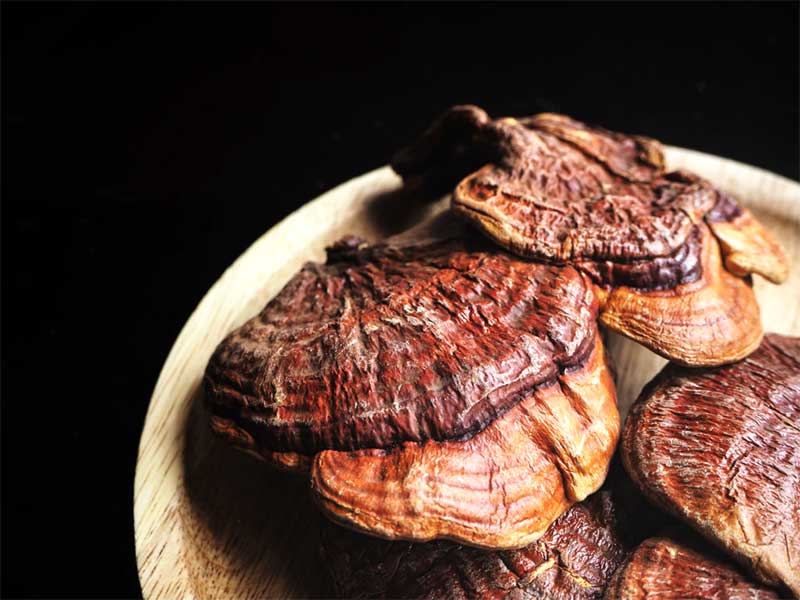 فوائد قارچ گانودرما