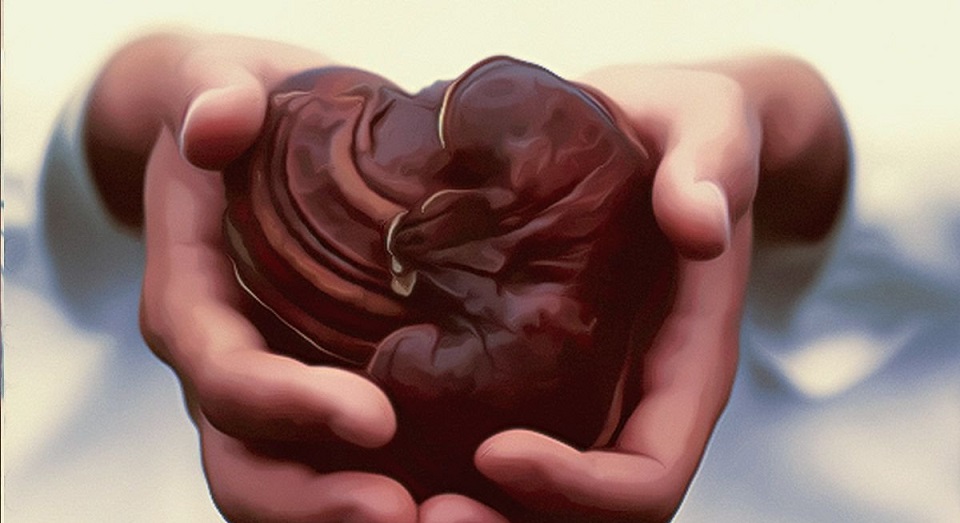 قارچ گانودرما