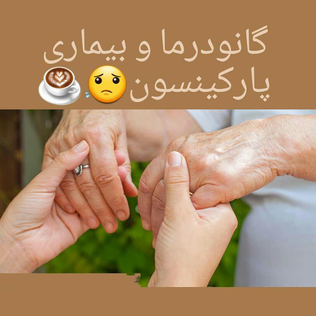 فواید قارچ گانودرما برای درمان پارکینسون