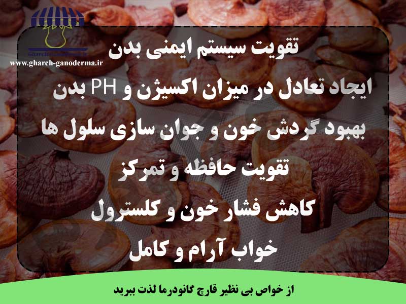 قارچ گانودرما و افزایش سلامت عمومی جامعه