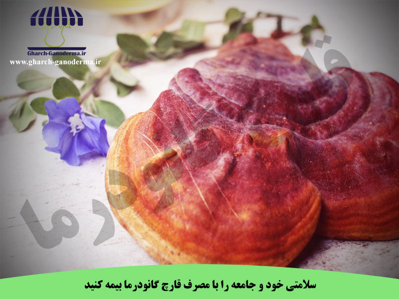 قارچ گانودرما و افزایش سلامت عمومی جامعه