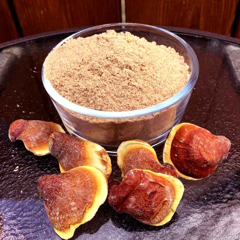 عوارض قارچ گانودرما