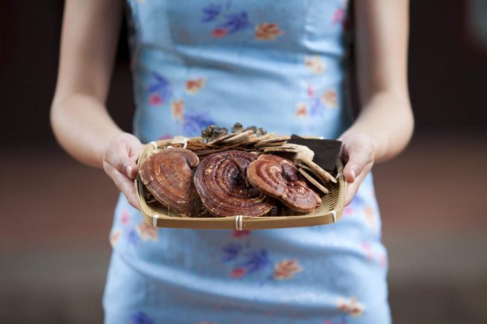 قارچ گانودرما و یائسگی