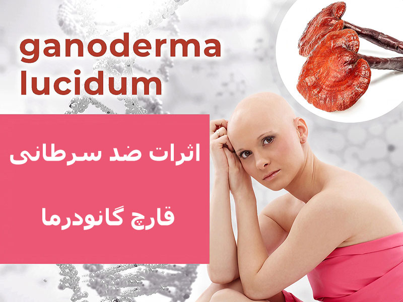 تأثیر قارچ گانودرما بر سر سرطان سینه