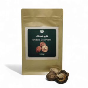 قارچ شیتاکه