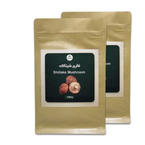 قارچ شیتاکه