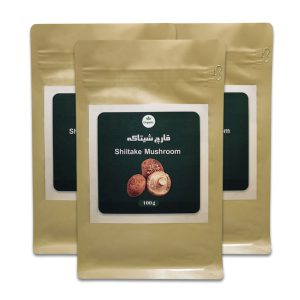 قارچ شیتاکه