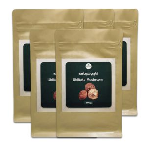 قارچ شیتاکه