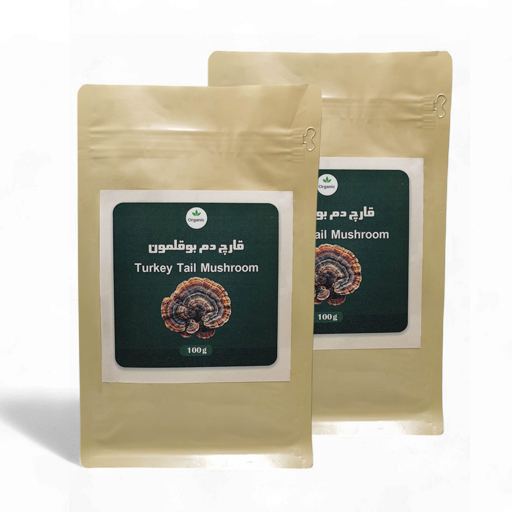 قارچ دم بوقلمون