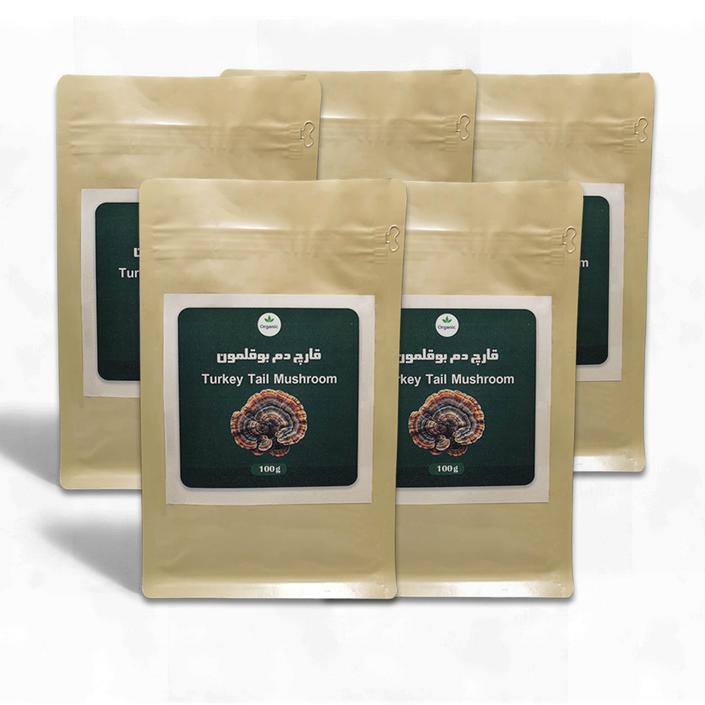 قارچ دم بوقلمون