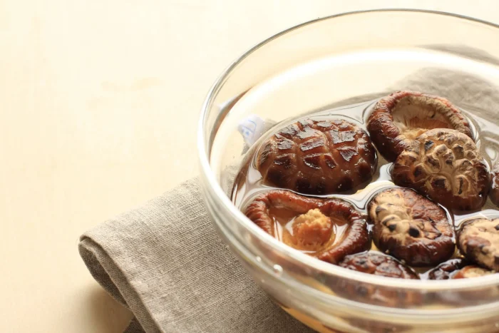 احیای قارچ شیتاکه