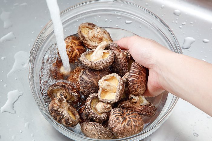 احیای قارچ شیتاکه