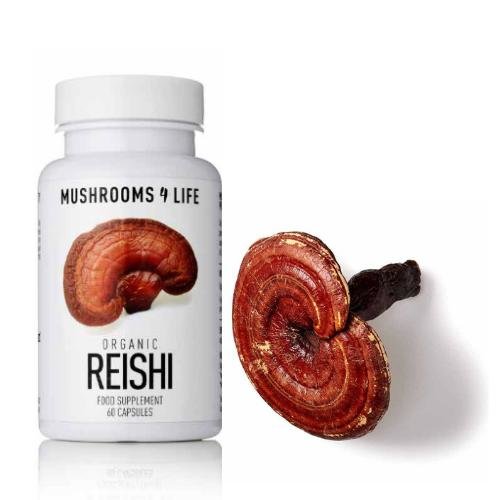 قرص گانودرما