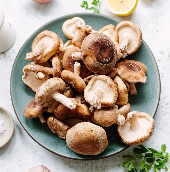 قارچ شیتاکه