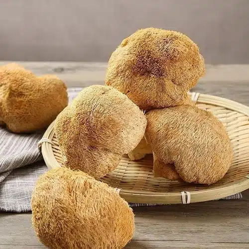 قارچ یال شیر