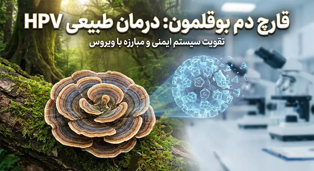قارچ دم بوقلمون و درمان hpv