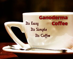 خواص قهوه گانودرما